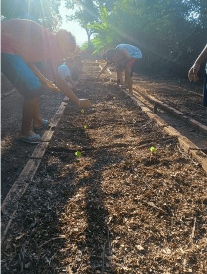 cerrado - preparaÃ§Ã£o de horta.png