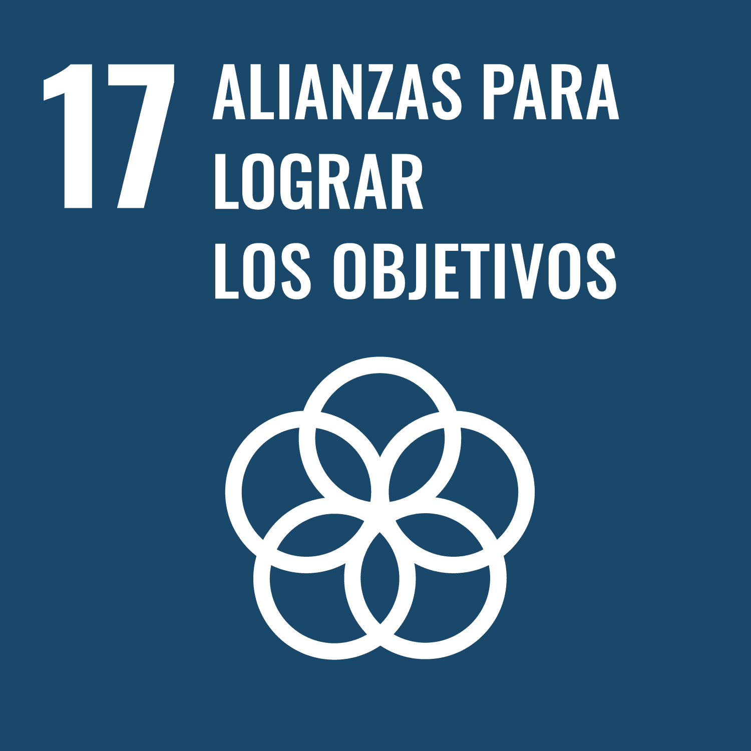 ODS 12: Alianzas para lograr los objetivos