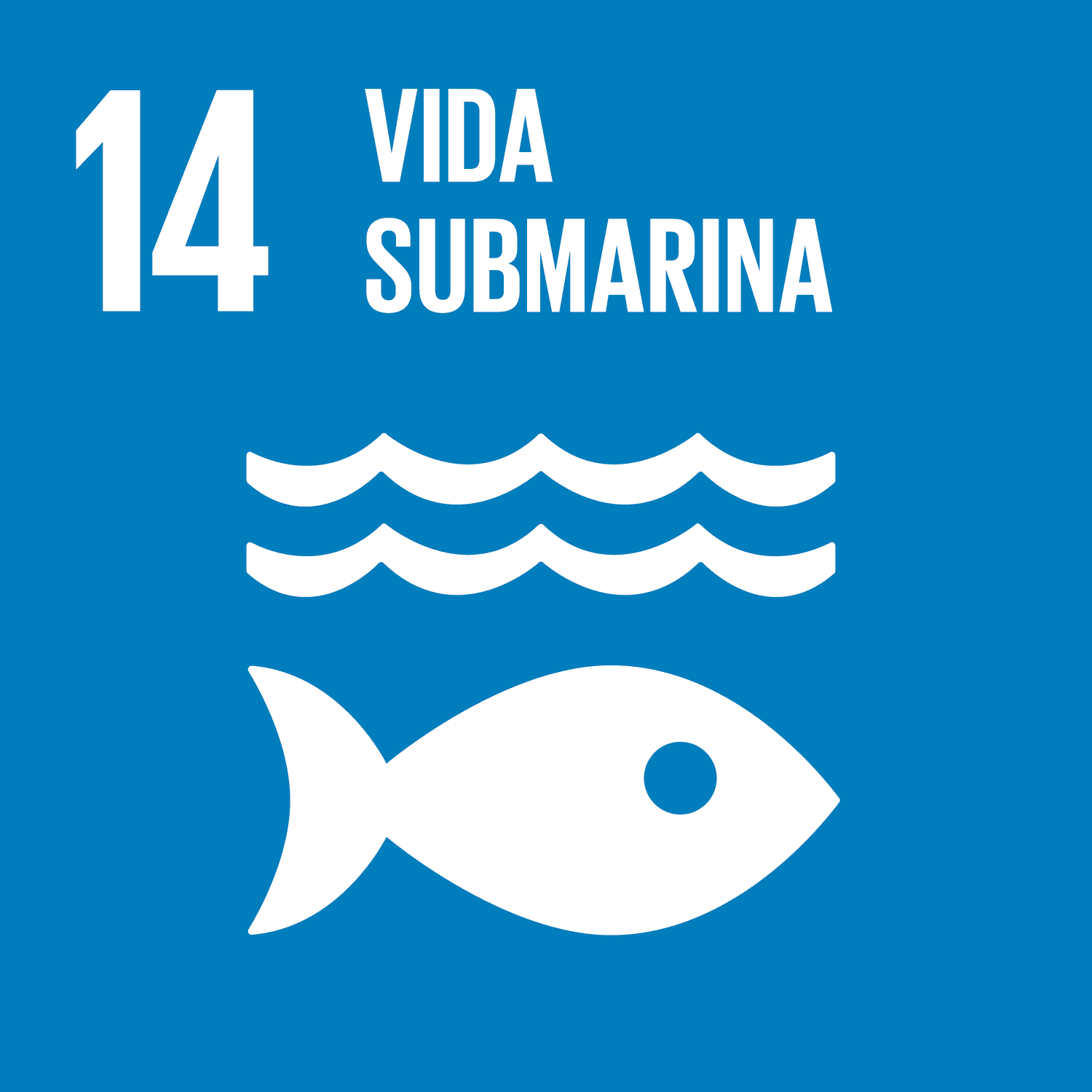 ODS 7: Vida submarina