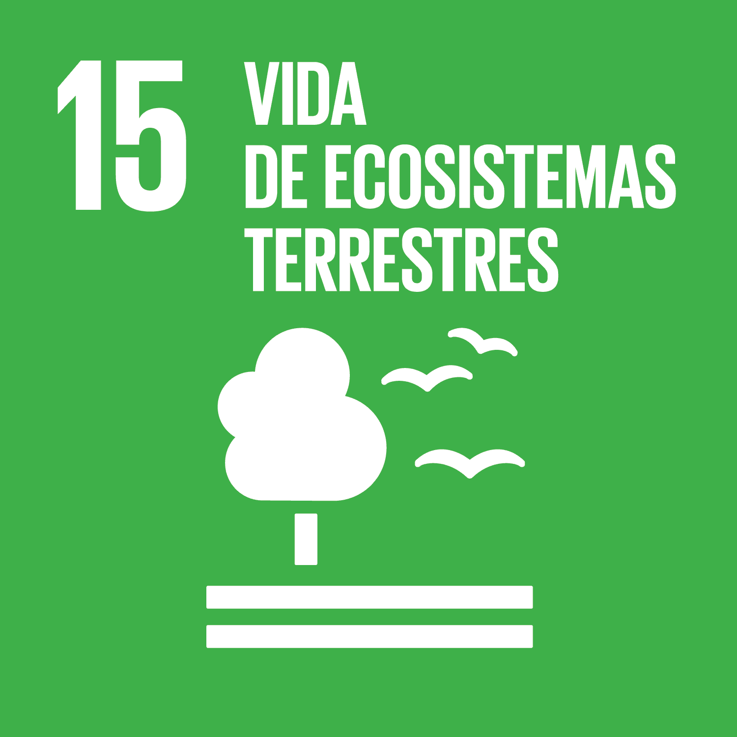 ODS 6: Vida de ecosistemas terrestres